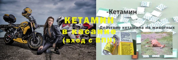 крисы Верея